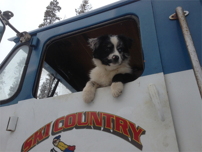 Truck & Dog | Ski Country Auto Repair and Towing